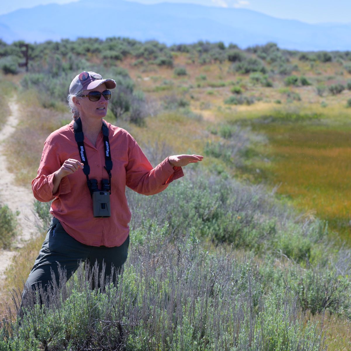 Nature Walk with Ranger Jill: 10/11 - logo